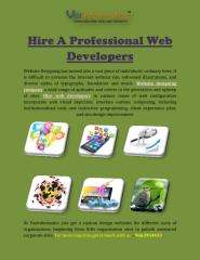 Hire_A_Professional_Web_Developers.PDF