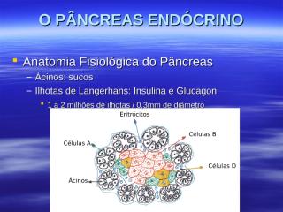 Fisiologia endócrina parte 5.ppt