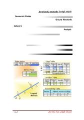 geometric network.pdf